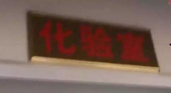 国产鲑鱼能生吃吗视频,能否放心享用？