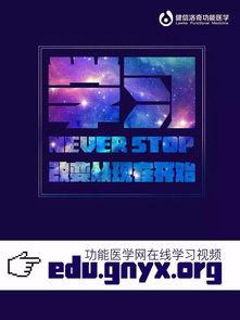 不用翻墙 国产 视频,本土视频平台打造国产内容盛宴