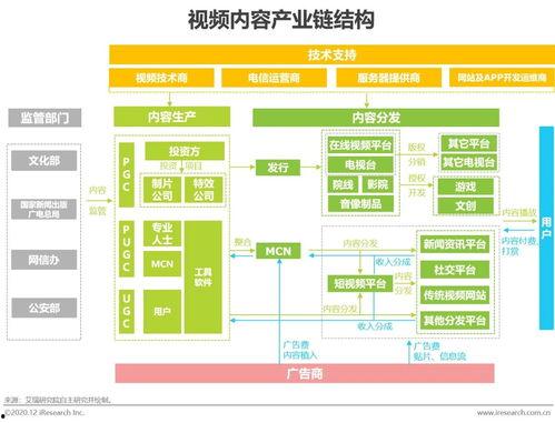 中国产业链视频大全,视频大全深度解读