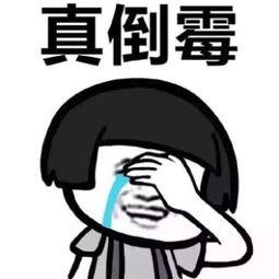 国产大牛直播视频免费