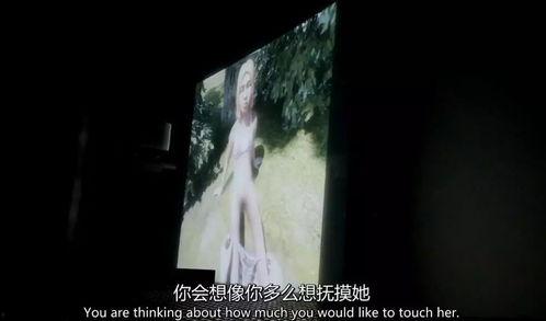 国产欧美变态在线视频区,探索国产欧美变态在线视频区的神秘世界