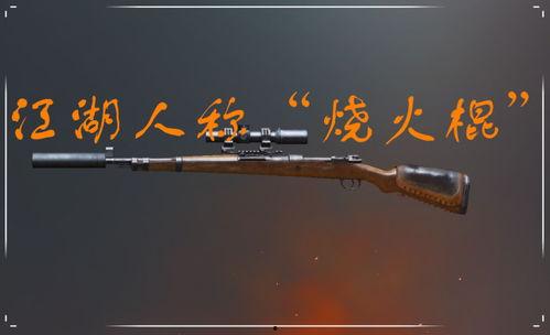 国产大佬霸气拆枪视频,揭秘枪械结构奥秘