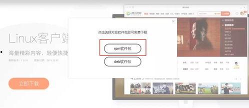 国产视频QQ,引领社交新潮流的短视频平台