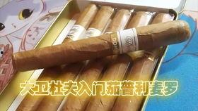 中国产雪茄烟视频,视频揭秘制作工艺与品鉴体验