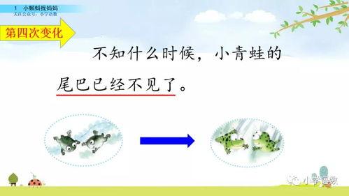 国产在线小蝌蚪视频网站,揭秘国内热门视频网站的独特魅力