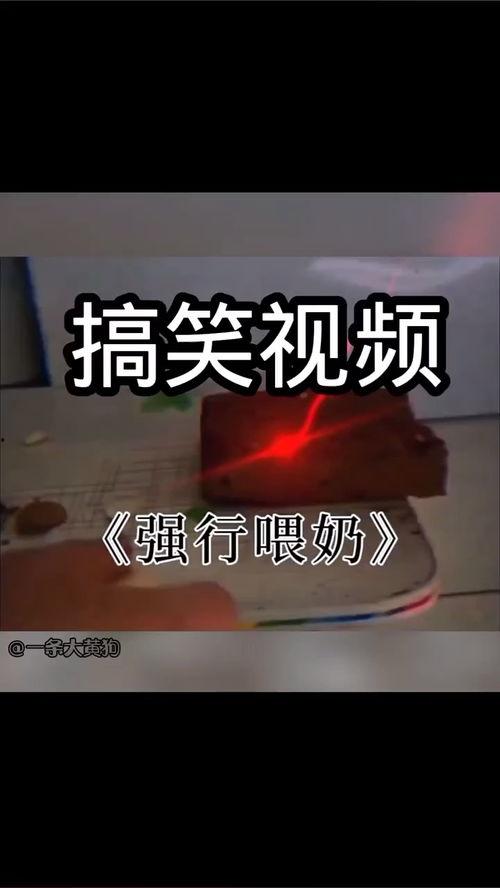 国产大孝子搞笑视频大全,国产大孝子搞笑视频大盘点