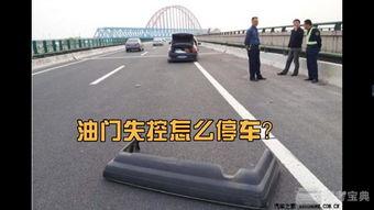 国产高速车怎么开的视频,视频揭秘安全驾驶技巧