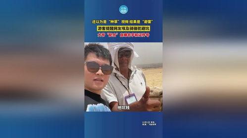 草避视频国产,本土原创内容的新篇章  第3张