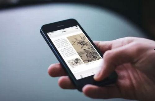 国产福利视频922,揭秘国内热门福利内容背后的故事 第3张 国产福利视频922,揭秘国内热门福利内容背后的故事 第3张