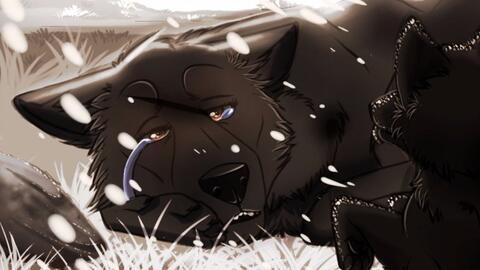 国产八尾猫动画视频,国产奇幻冒险之旅